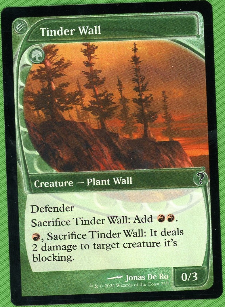 2024 Wizards of the Coast Magic: The Gathering 215 VG