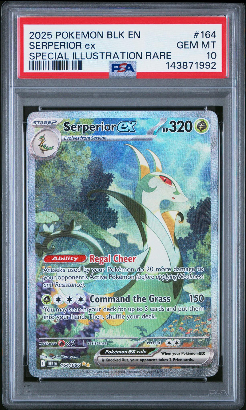 2025 Pokemon Scarlet and Violet Black Bolt Special Illustration Rare Serperior Ex #164 PSA 10