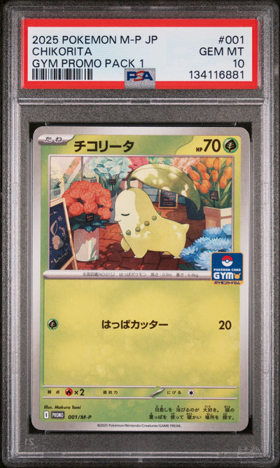 2025 Pokemon Japanese M-P Promo Gym Promo Pack 1 Chikorita #001 PSA 10