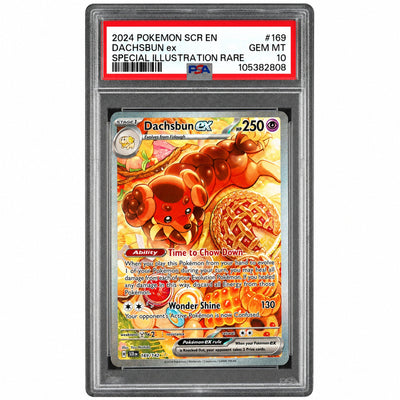 2024 Pokemon Scarlet and Violet Stellar Crown Special Illustration Rare Dachsbun Ex #169 PSA 10