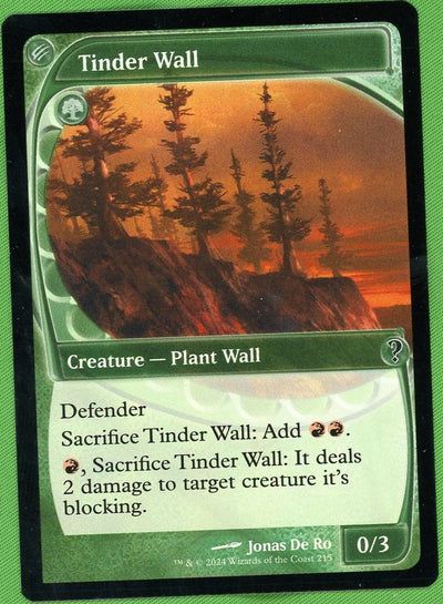 2024 Wizards of the Coast Magic: The Gathering 215 VG