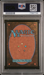 2023 Magic the Gathering Tales of Middle-Earth Commander Bucklebury Ferry #371 PSA 10