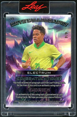 2024 Electrum C-E1 Endrick Auto 4/4